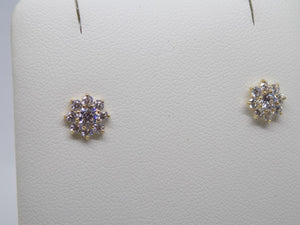 9ct Yellow Gold CZ Flower Stud Earrings SKU 1507151